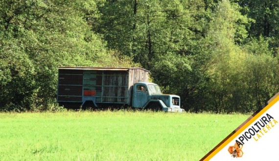 Nomadismo Apistico: Quando Spostare gli Alveari Conviene Davvero