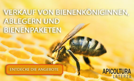 SALE OF QUEENS BEES