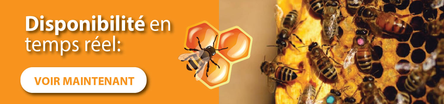 Sichere dir dein Bienenpaket und spare bis zu 30 %.