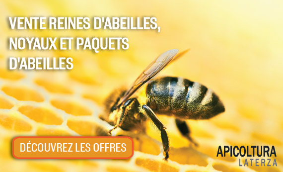 SALE OF QUEENS BEES