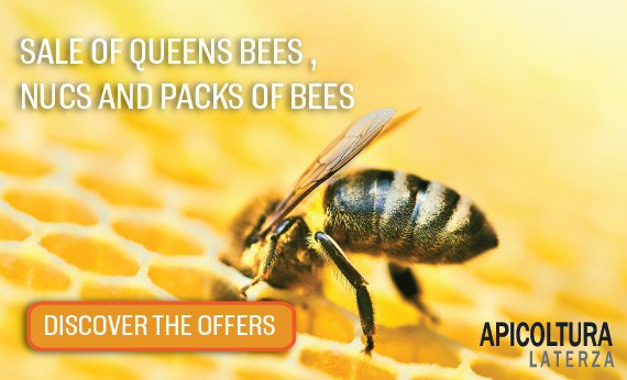 SALE OF QUEENS BEES